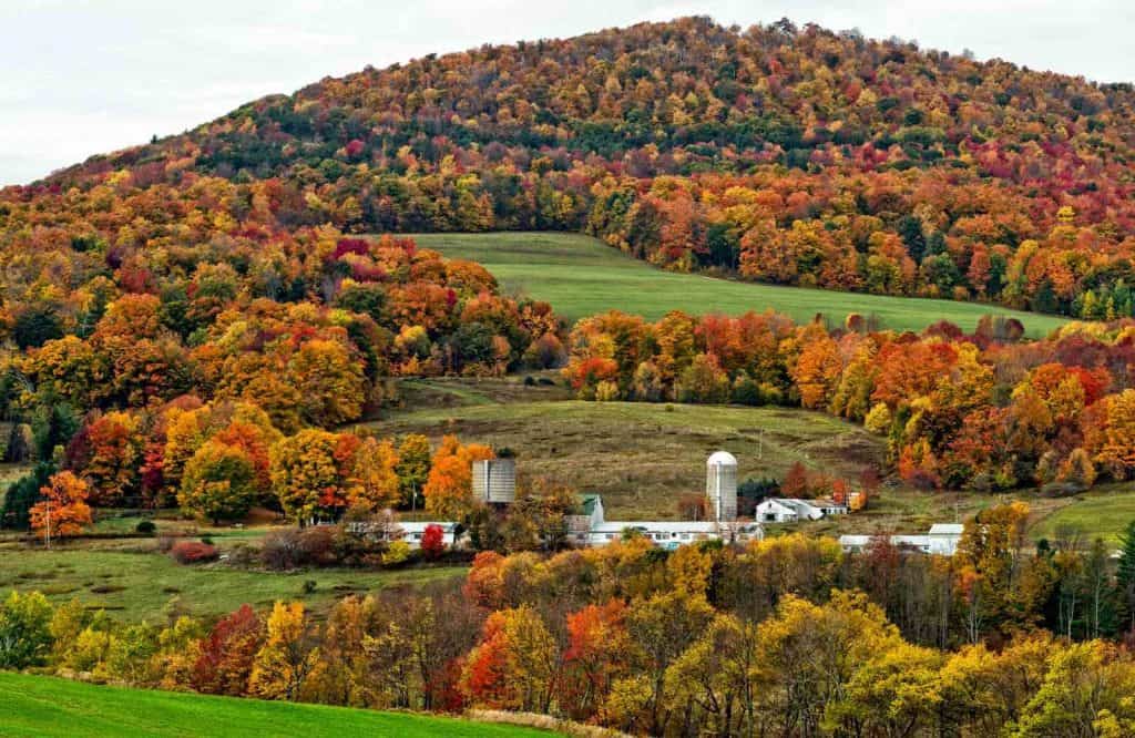 One of the most unique USA fall trips is the Catskills in New York.
