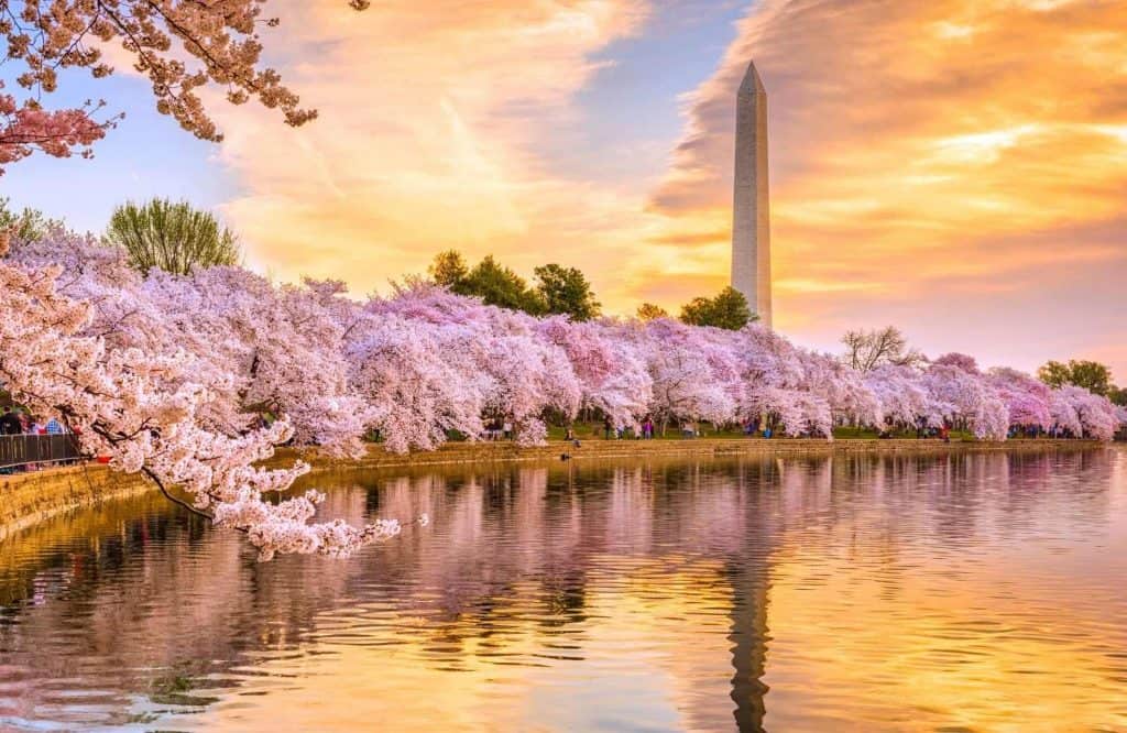 One of the most action packed USA weekend trips is Washington D.C.