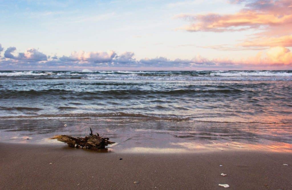 Padre Island is one of the best winter trips in the U.S.