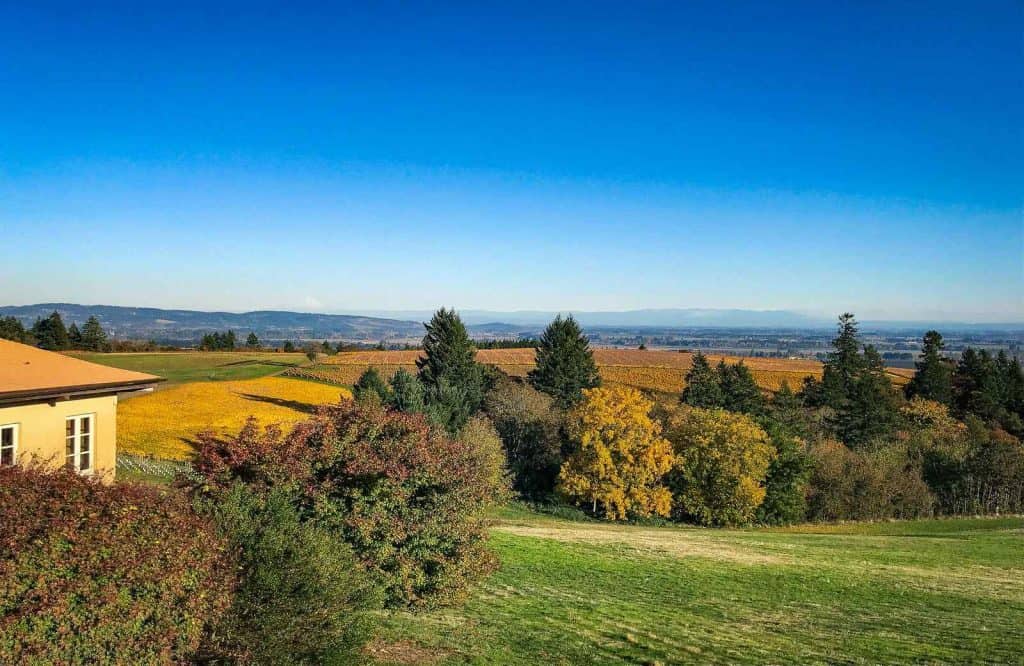 Willamette Valley Wine Region is one of the best unique places to visit in Oregon.