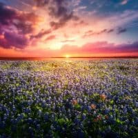 Best Weekend Trips in Texas: 13 Perfect Locations!