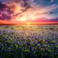 Best Weekend Trips in Texas: 13 Perfect Locations!