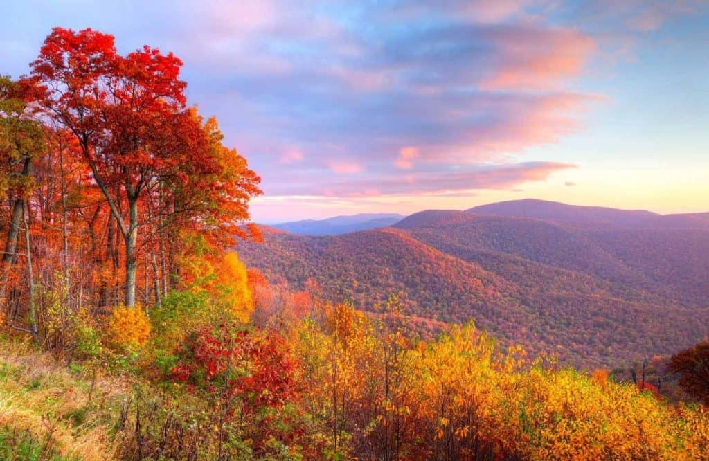 Shenandoah National Park is one of the best getaways on the East Coast.