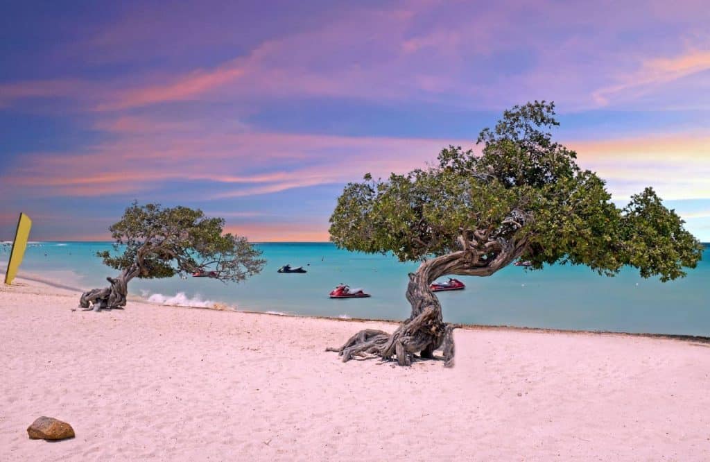 Jet skiing is one of the most fun things to do in Aruba.