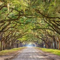 11 Prettiest Towns in Georgia You Need to Visit