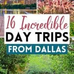 16 Spontaneous and Fun Day Trips From Dallas