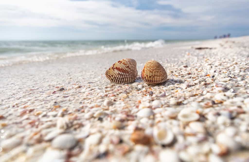 Add Sanibel Island to your list of the best islands in the USA.