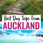 12 Best Day Trips From Auckland, New Zealand