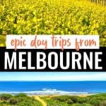 16 Top Day Trips From Melbourne