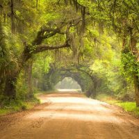 12 Chilling Charleston Ghost Tours