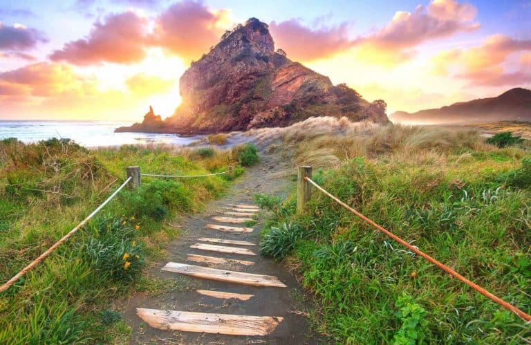 12 Best Day Trips From Auckland, New Zealand