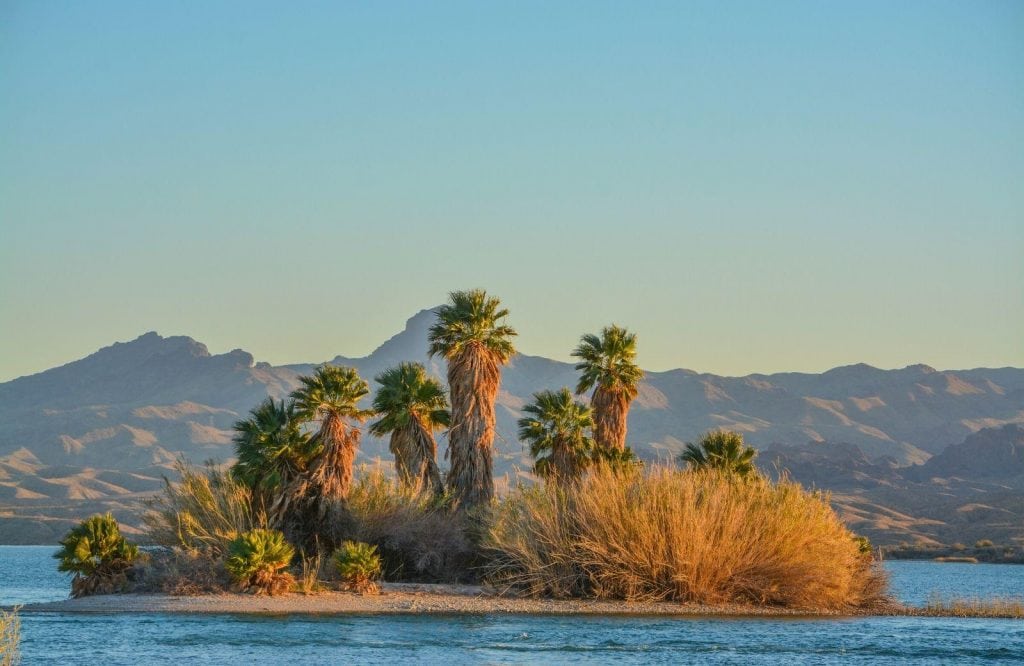 One of the best Route 66 attractions is Havasu National Wildlife Refuge.