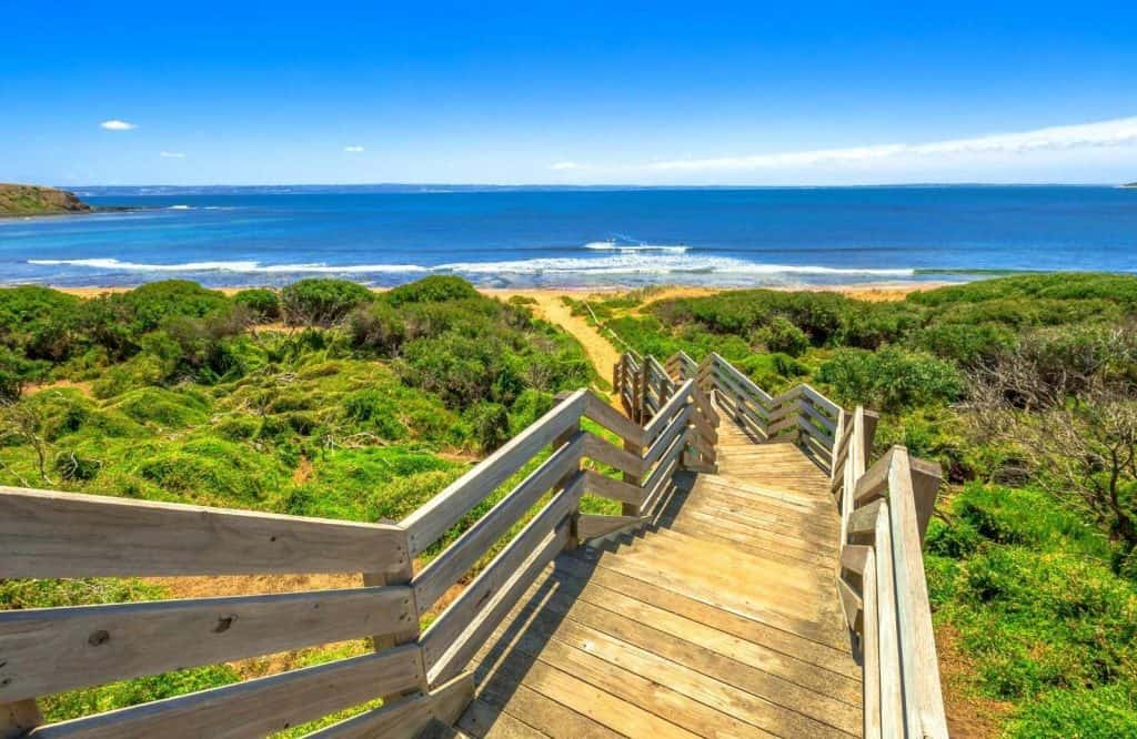 Phillip Island is a must do day trip from Melbourne.