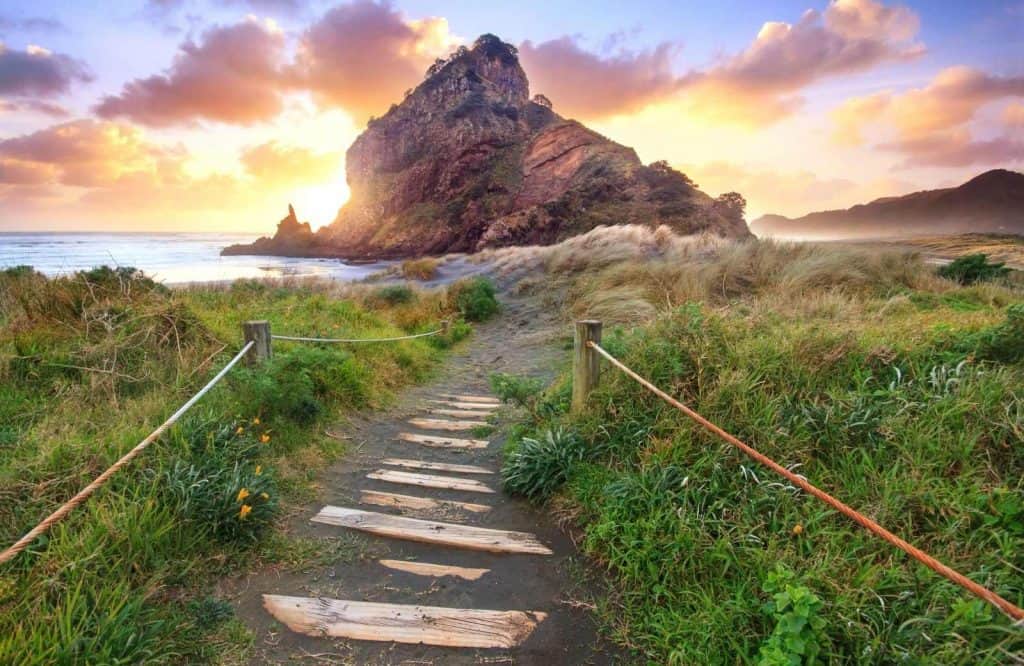 Piha is one of the coolest day trips from Auckland.