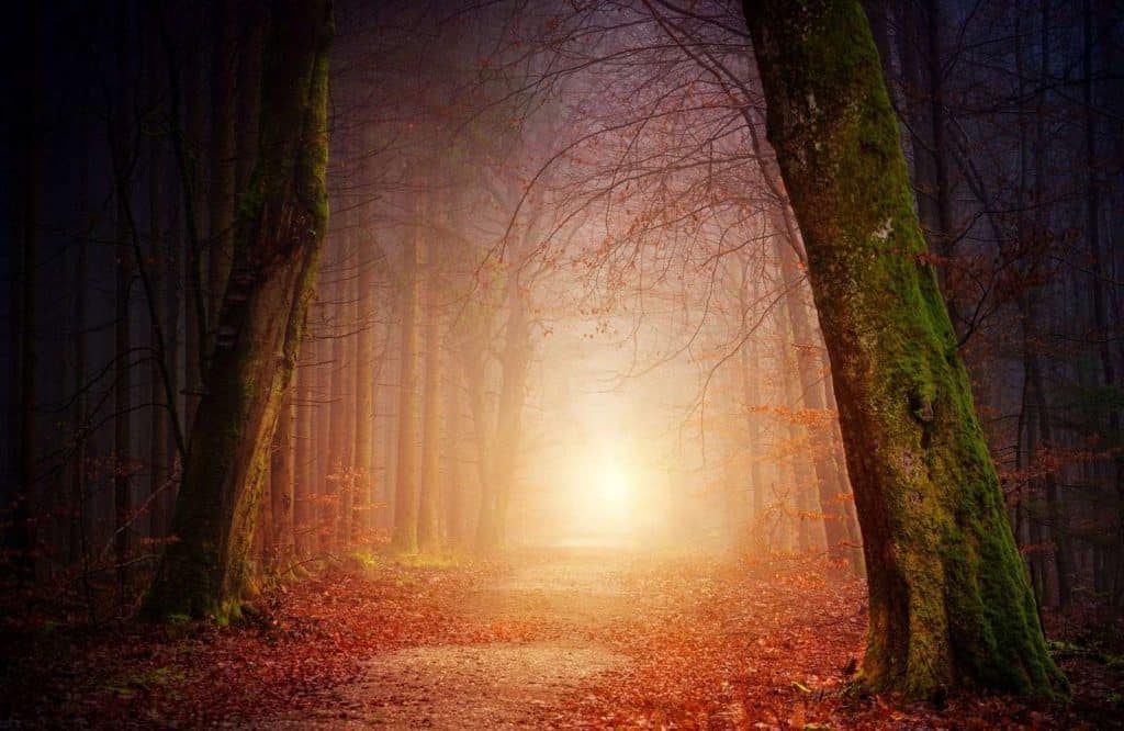 If you're looking for fun things to do in the Holy City, go on one of the many Charleston ghost tours.