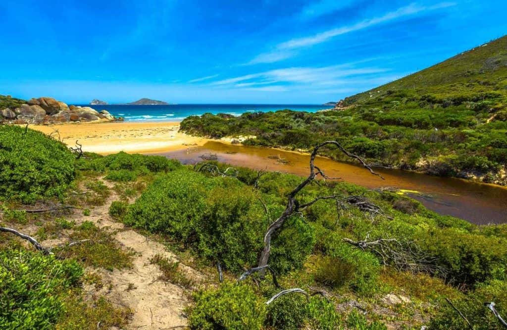One of the furthest yet awesome day trips from Melbourne is Wilsons Promontory National Park.