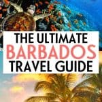 Vacation to Barbados: Ultimate Guide + 12 Fun Things to Do