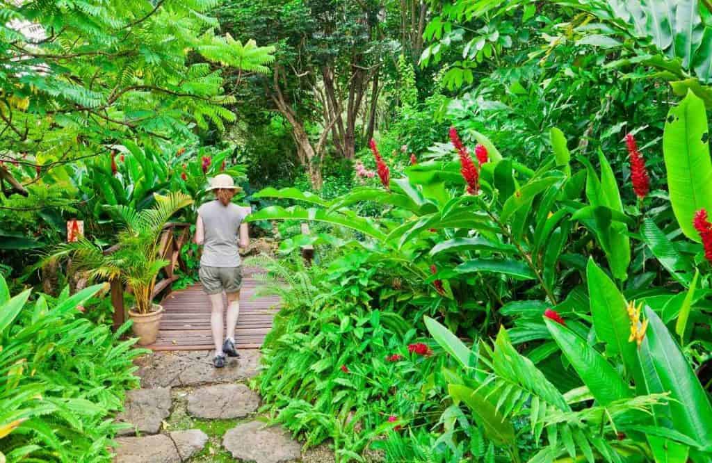 Add Andromeda Botanic Gardens to your list of things to do during your vacation to Barbados.