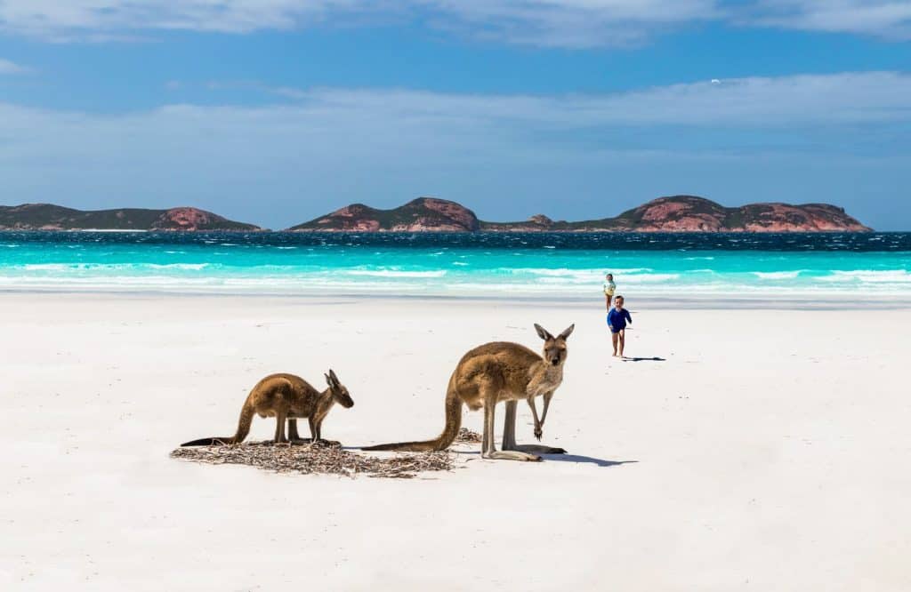 One of the coolest landmarks in Australia is Kangaroo Island.