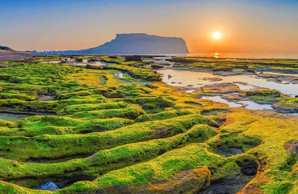 Jeju Island is one of many interesting islands in Asia.