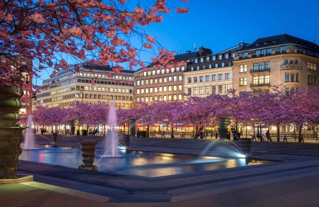 Pink cherry blossoms surrounding a classic building