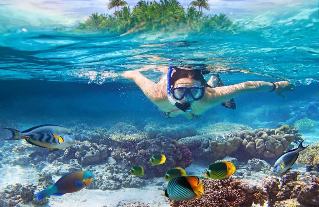 A women snorkeling with colorful coral and fish.