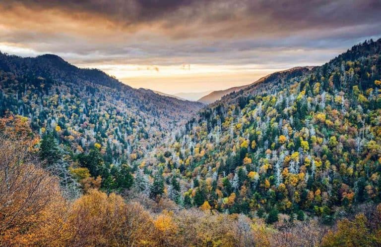 Fall foliage on the trees on the rolling hills which is one of the best views in the Smoky Mountains.