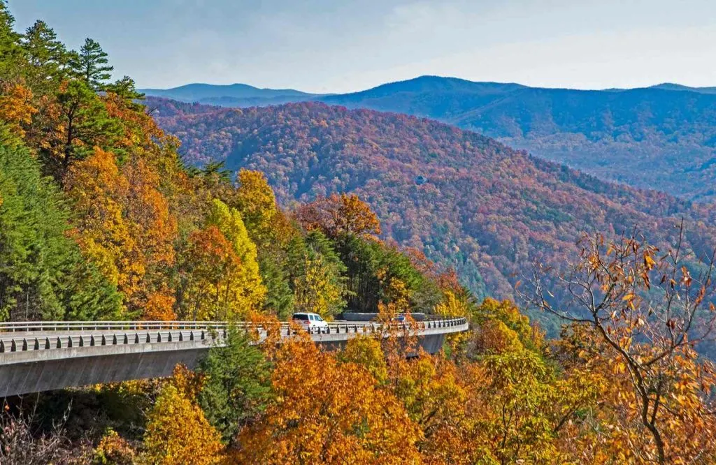 A bridge weaving through the mountains with fall foliage leaves which is Foothills Parkway which is one of the best views in the Smoky Mountains.