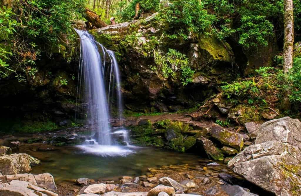 A photo of Grotto Falls falling into a pool of water which is one of the best waterfalls in the Smokies.