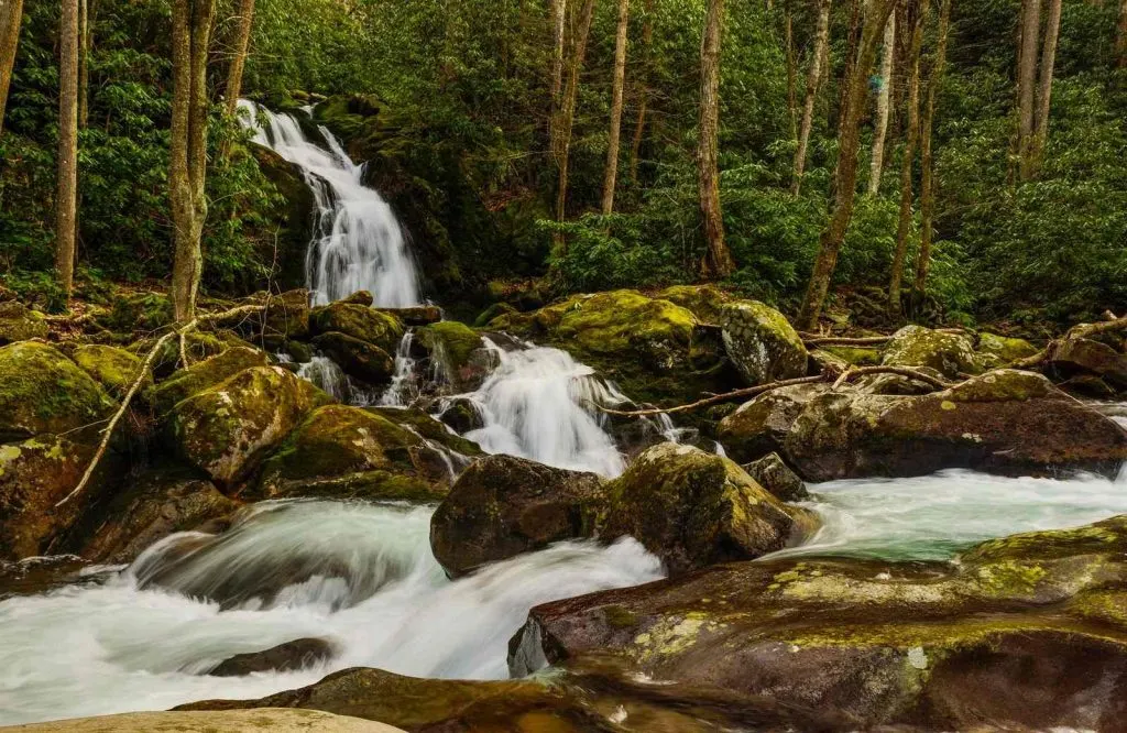 Add Mouse Creek Falls to your list of waterfalls in the Smoky Mountains to explore.