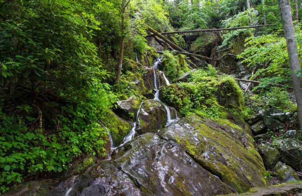 The third and final roadside waterfalls in the Smoky Mountains is Place of a Thousand Drips.