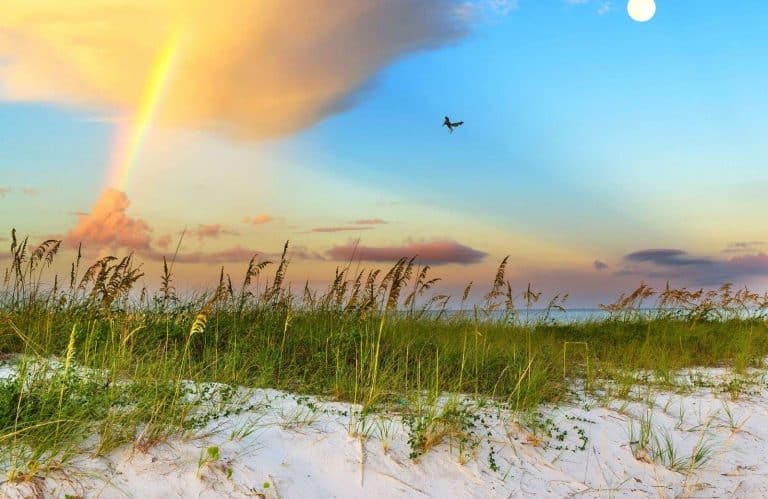 Rainbow on the beach with grass growing in the sand depicting Biloxi, Mississippi