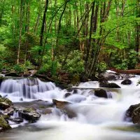 One of the waterfalls in the Smoky Mountains that's flowing with lush green forestry behind it.