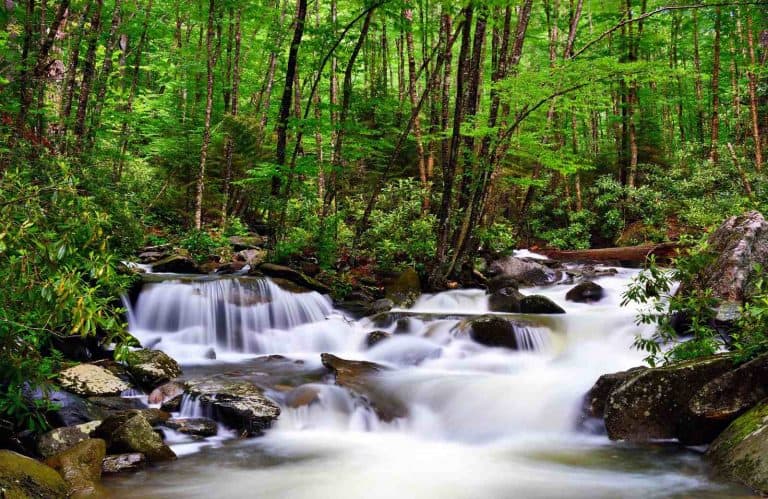 One of the waterfalls in the Smoky Mountains that's flowing with lush green forestry behind it.