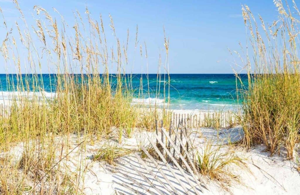 Grassy dune area on the white sand on Pensacola Beach, which is one of the prettiest beaches Panhandle Florida.