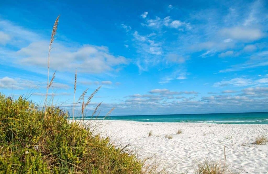 Green grass on the sand and clear blue waters for reasons to visit the best beaches in the Florida Panhandle.