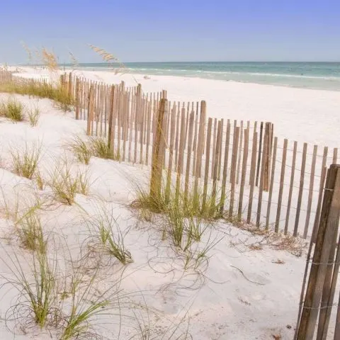 Sand dunes on the beach with brown fences for things to do in Seaside Florida.