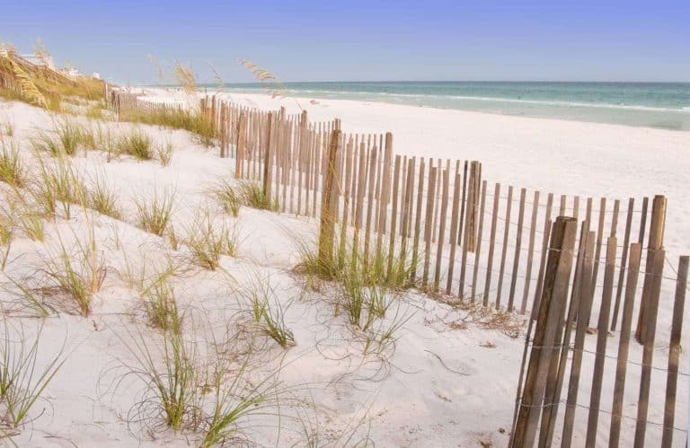 Sand dunes on the beach with brown fences for things to do in Seaside Florida.
