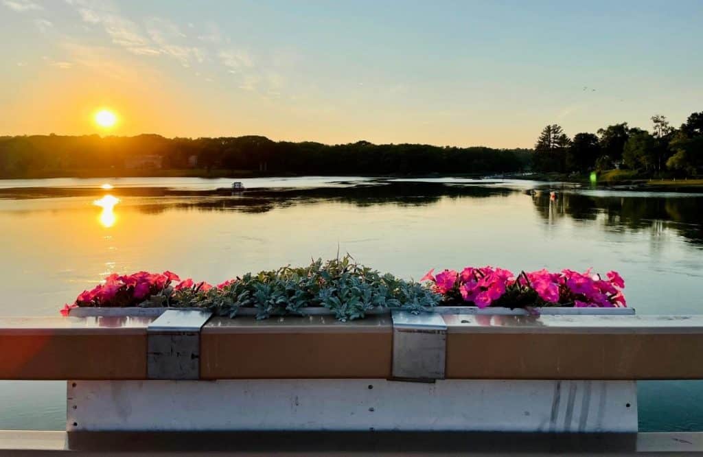 A flower box with pink flowers hanging off a bridge with the sunset in the background.