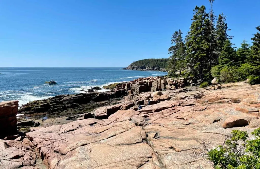 Brown cliffs and trees along the Schoodic Peninsula in Acadia National Park.