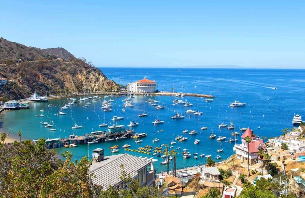 Aerial view of the shoreline of Santa Catalina Island with a white building with an orange roof in the distance.