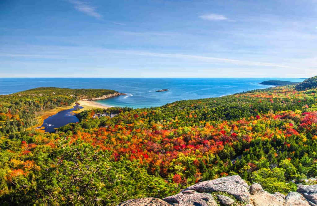 Aerial view of fall foliage in Acadia National Park, which is one of several Bar Harbor Maine things to do.