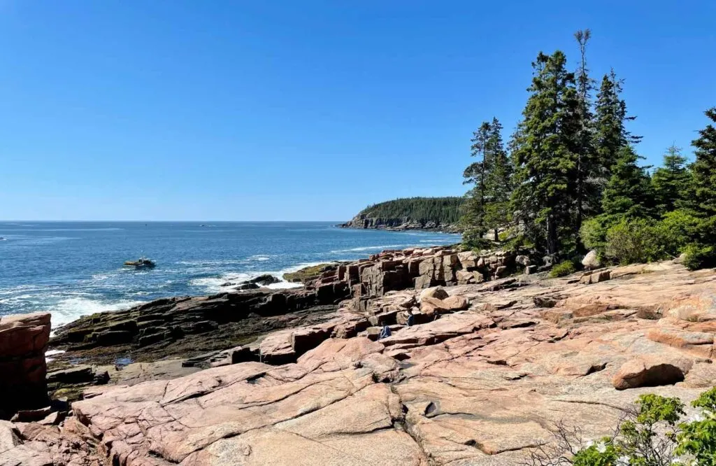 The Ocean Path Trail in Acadia National Park along the rugged coastline.
