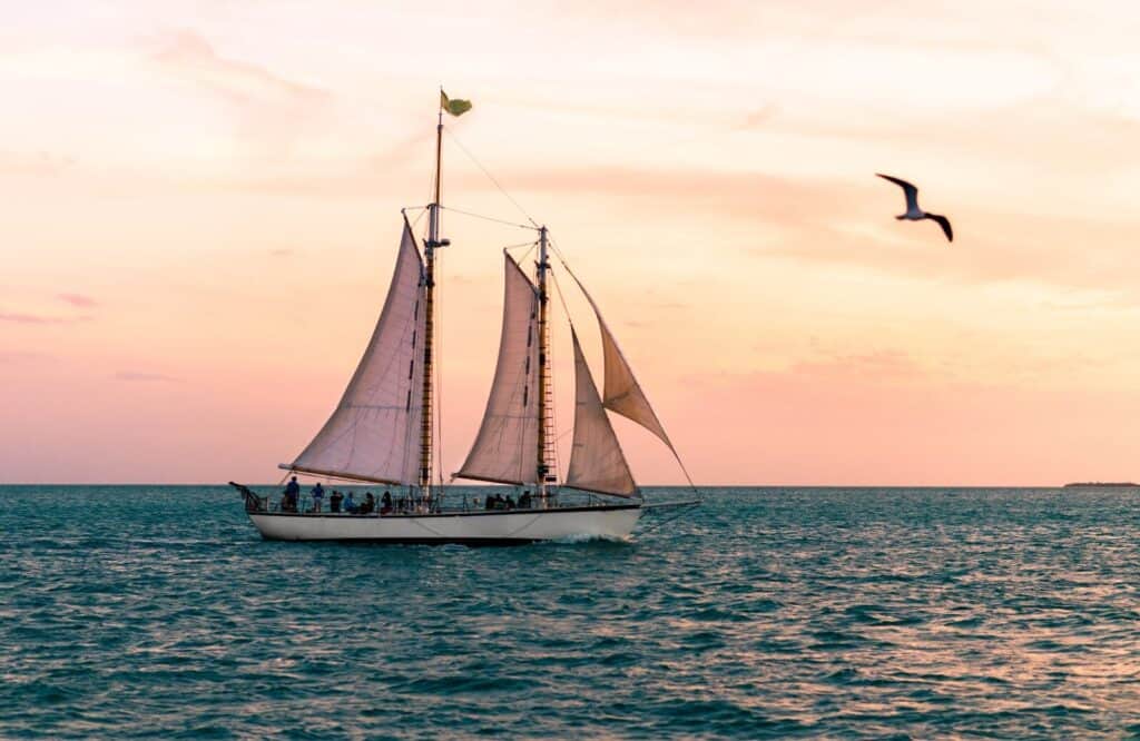 Soft pink and yellow sunset skies on the water with a bird flying in the horizon with tourists on a schooner for the best sunset tours in Key West.