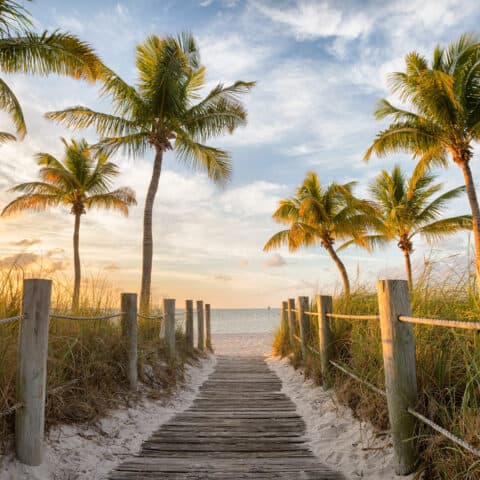 Wooden boardwalk flanked by lush green grasses leading through palm trees to a tranquil beach, with the ocean visible in the distance under a soft, glowing sunrise in Key West, Florida.