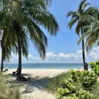 Scenic view of a beach at Bill Baggs Cape Florida State Park in Key Biscayne, Florida, framed by tall palm trees and greenery. People are relaxing on the white sandy beach and swimming in the calm turquoise water, with a sailboat anchored offshore under a sunny blue sky as one of the best day trips from Miami.