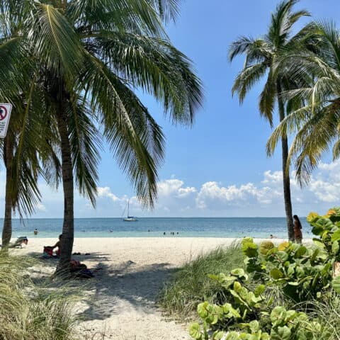 Scenic view of a beach at Bill Baggs Cape Florida State Park in Key Biscayne, Florida, framed by tall palm trees and greenery. People are relaxing on the white sandy beach and swimming in the calm turquoise water, with a sailboat anchored offshore under a sunny blue sky as one of the best day trips from Miami.