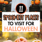 Two dogs dressed as ghosts with white sheets over them sit on a porch surrounded by pumpkins and autumn decor. Below them, carved jack-o'-lanterns with spooky and funny faces rest on fallen leaves, with text overlay that reads “11 Spookiest Places to Visit for Halloween” and a website URL dishadiscovers.com.