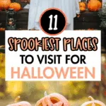 Two dogs dressed as ghosts with white sheets over them sit on a porch surrounded by pumpkins and autumn decor. Below them, carved jack-o'-lanterns with spooky and funny faces rest on fallen leaves, with text overlay that reads “11 Spookiest Places to Visit for Halloween” and a website URL dishadiscovers.com.